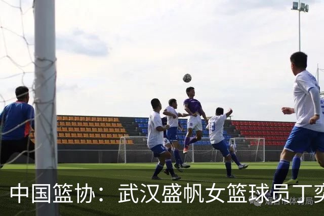 中国篮协：武汉盛帆女篮球员丁奕可停赛八场