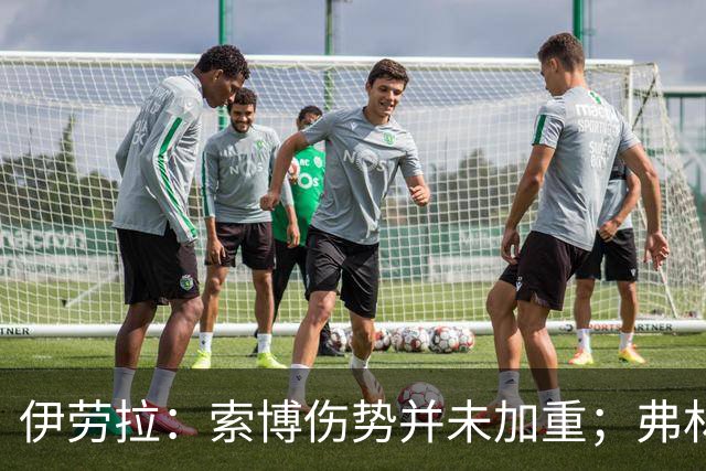 伊劳拉：索博伤势并未加重；弗林蓬国际比赛日之前恐难复出