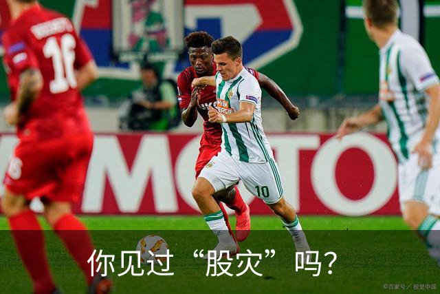 你见过“股灾”吗？