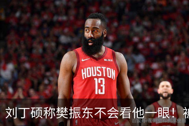刘丁硕称樊振东不会看他一眼！被质疑以德报怨：2次公开落井下石