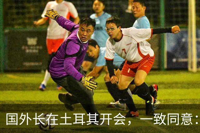 国外长在土耳其开会，一致同意：立即停战！
