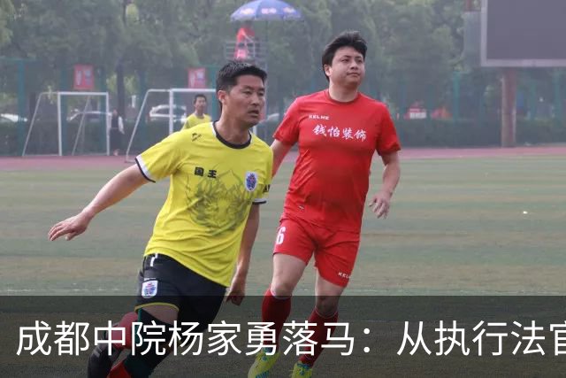 成都中院杨家勇落马：从执行法官到“后勤大管家”的迷失之路