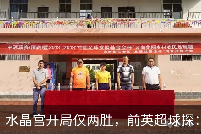 水晶宫开局仅两胜，前英超球探：主席喜欢麦肯纳