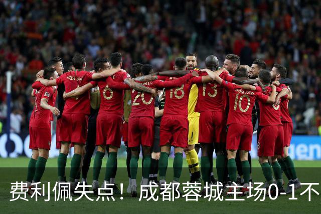 费利佩失点！成都蓉城主场0-1不敌大连英博