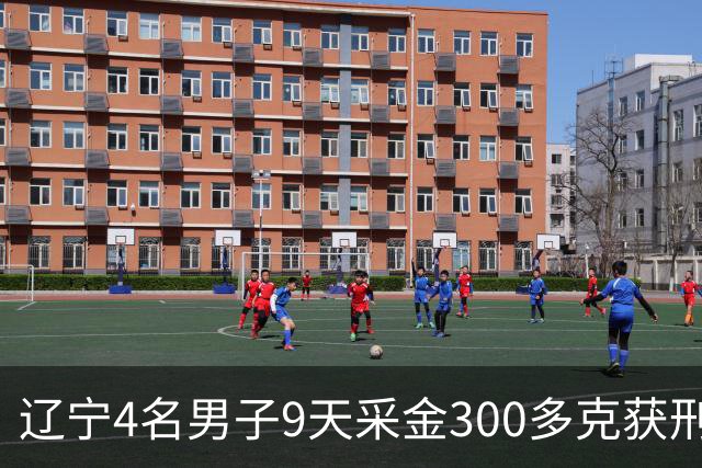辽宁4名男子9天采金300多克获刑，村里砂土为何能淘金？土法筛金对人体和环境有何危害？