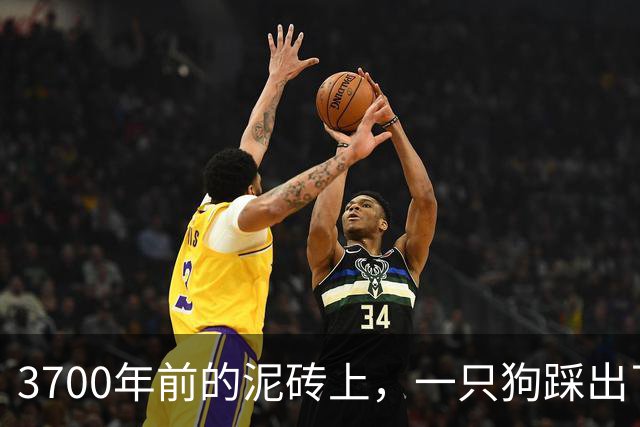 3700年前的泥砖上，一只狗踩出了它的"签名"